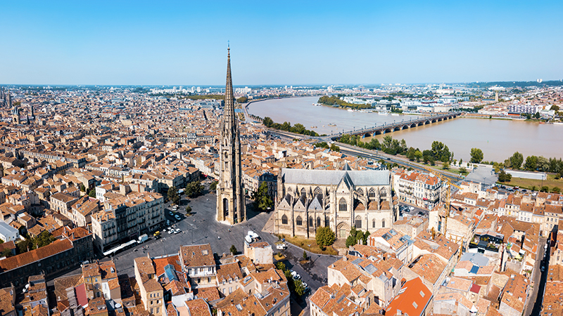 Votre job sur mesure chez AdomVET!