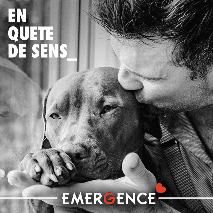 Emergence, Vet Emergency and critical care