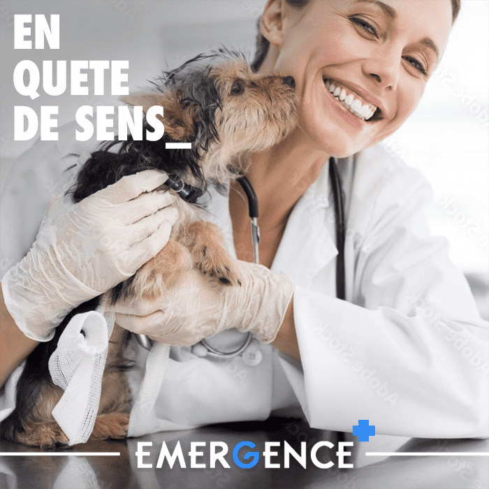 Emergence, Vet Emergency and critical care