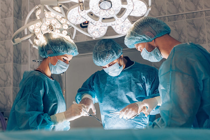 Vétérinaires au bloc opératoire