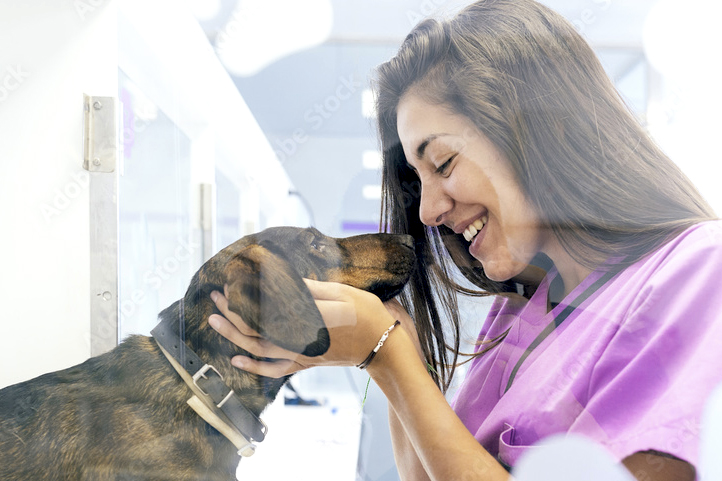 Vets'Life, Actus de l'urgence vétérinaire et d'Emergence